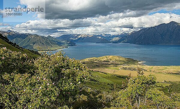 Blick auf Lake Hawea  See und Berglandschaft  Ausblick vom Wanderweg zum Isthmus Peak  Wanaka  Otago  Südinsel  Neuseeland  Ozeanien