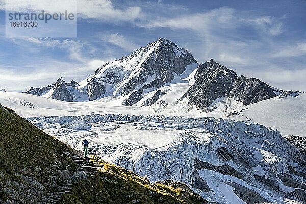 Wanderin auf Wanderweg zum Glacier du Tour  Gletscher und Berggipfel  Hochalpine Landschaft  Aiguille de Chardonnet  Chamonix  Haute-Savoie  Frankreich  Europa
