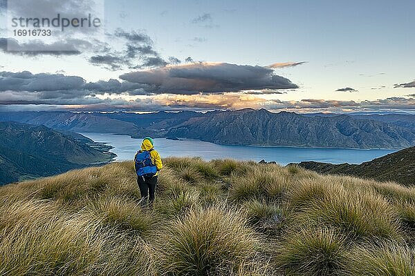 Wanderin blickt in die Ferne  Blick auf Lake Hawea bei Sonnenuntergang  See und Berglandschaft  Ausblick vom Isthmus Peak  Wanaka  Otago  Südinsel  Neuseeland  Ozeanien