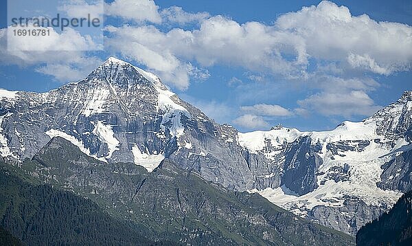Blick auf Berggipfel  Mönch und Jungfraujoch  Jungfrauregion  Grindelwald  Bern  Schweiz  Europa