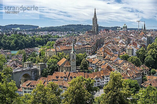 Stadtansicht  Ausblick vom Rosengarten auf die Altstadt  Nydeggkirche und Berner Münster  Ortsteil Nydegg  Bern  Kanton Bern  Schweiz  Europa