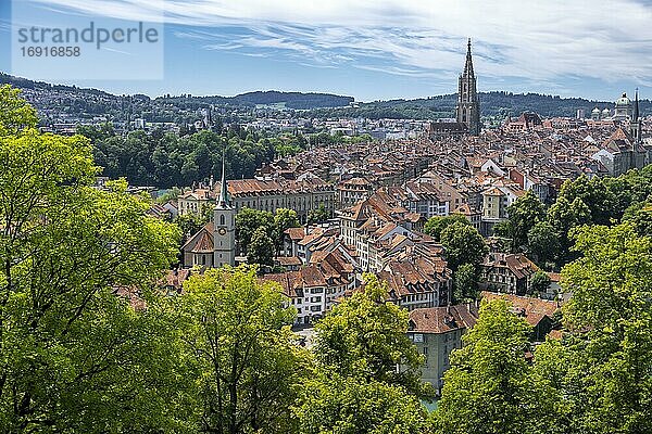 Stadtansicht  Ausblick vom Rosengarten auf die Altstadt  Nydeggkirche und Berner Münster  Ortsteil Nydegg  Bern  Kanton Bern  Schweiz  Europa