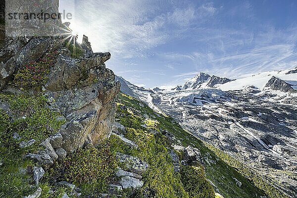 Glacier du Tour  Gletscher und Berggipfel  Hochalpine Landschaft  Aiguille de Chardonnet  Chamonix  Haute-Savoie  Frankreich  Europa