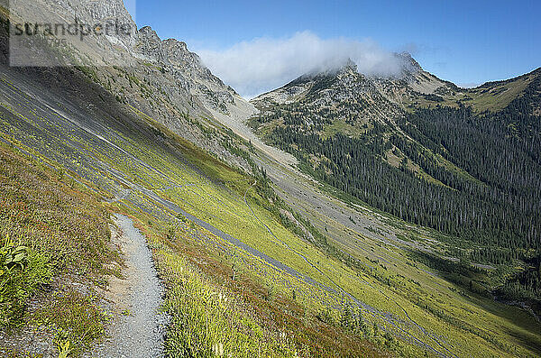 Blick auf den Pacific Crest Trail durch ein weites Alpental und eine Wiese  Herbst