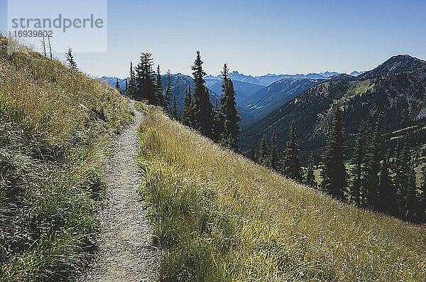 Pfad und alpine Wiesen des Pacific Crest Trail