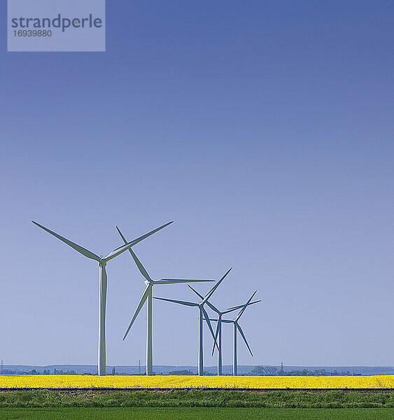Windturbinen im Getreidefeld.