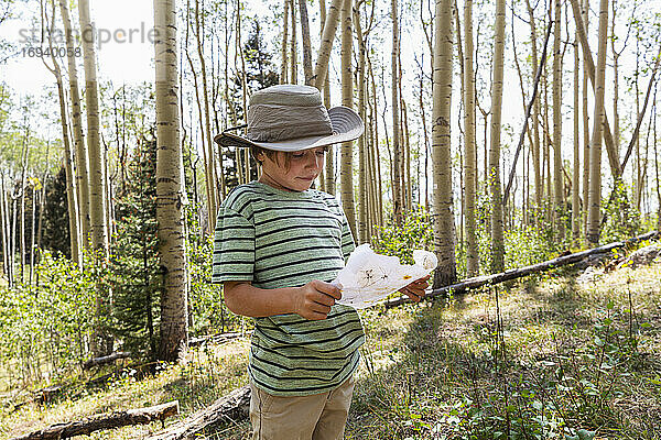 7 Jahre alter Junge hält Schatzkarte in Wald von Aspen Bäume