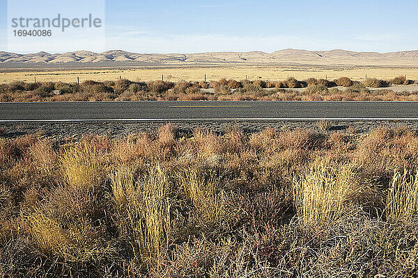 Highway durch flache Freifläche  Wüste mit Buschwerk