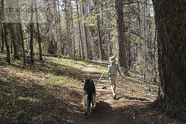 7 Jahre alter Junge  der mit seinem Hund in einem Wald von Espenbäumen spazieren geht