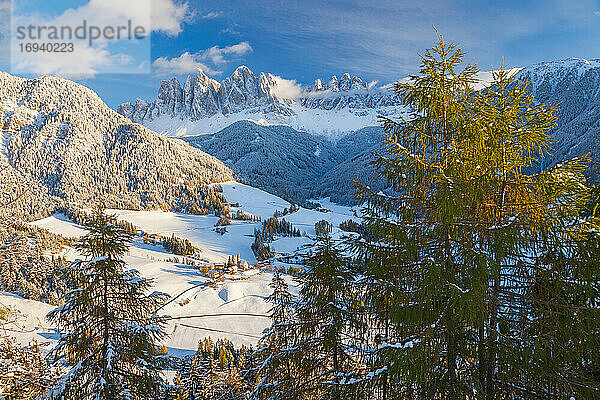 Winterschnee  St. Magdalena Dorf  Geisler Spitzen  Val di Funes  Dolomiten Berge  Trentino-Südtirol  Südtirol  Italien