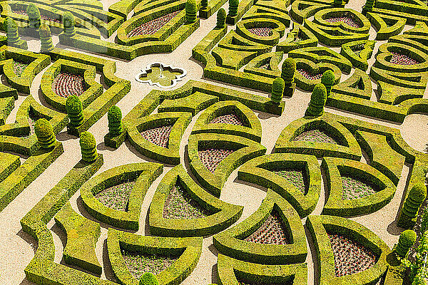 Formale Gärten  Schloss von Villandry  Indre et Loire  Loiretal  Frankreich