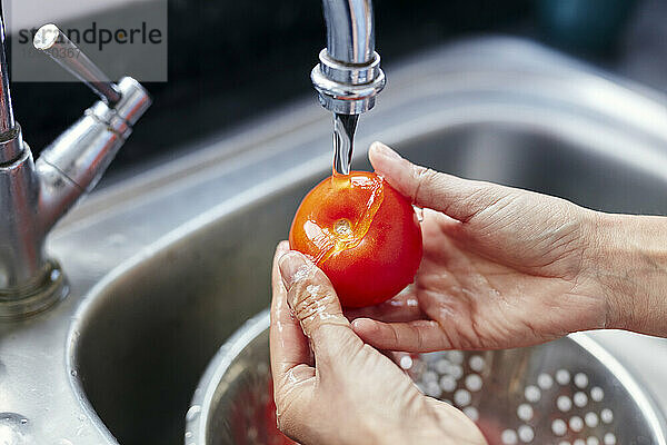 Tomate im Spülbecken waschen