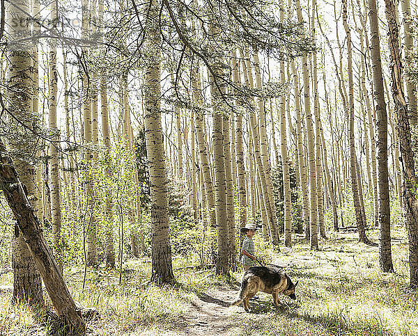 7 Jahre alter Junge  der mit seinem Hund in einem Wald von Espenbäumen spazieren geht