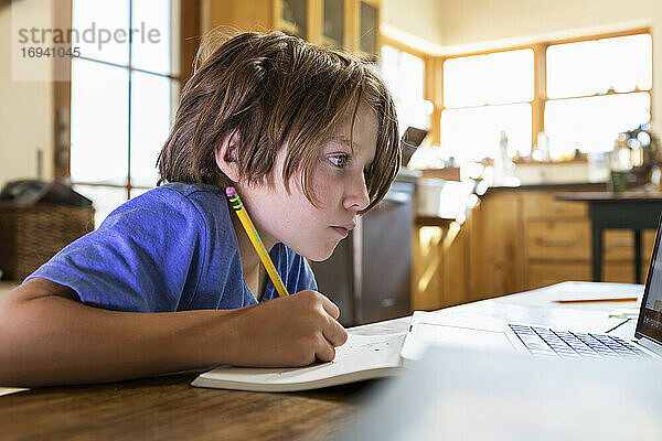 Junger Junge zu Hause  der auf einen Laptop-Bildschirm schaut und in ein Notizbuch schreibt.