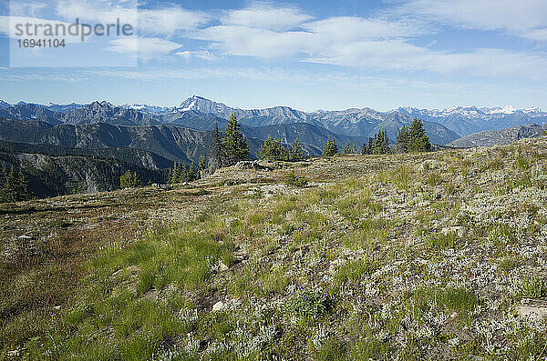 Die North Cascade Range  Blick vom Pacific Crest Trail