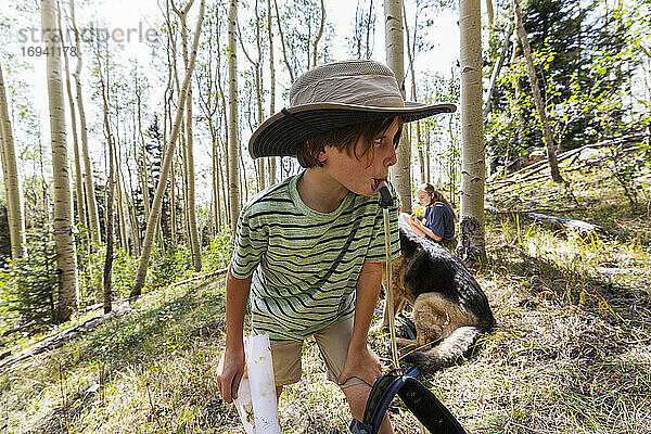 7 Jahre alter Junge trinkt Wasser aus Trinkrucksack in Wald von Aspen Bäume