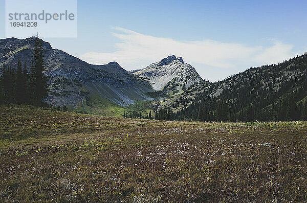 Abgelegene Bergkette und alpine Wiese im Herbst  entlang des Pacific Crest Trail