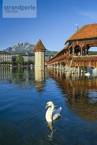 Kapellbrücke mit Pilatus  Luzern  Schweiz  Europa