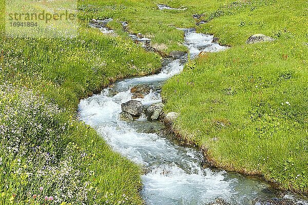 Bachlauf in Büdner Alpen  Graubünden  Schweiz  Europa