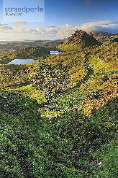 Trotternish  The Quaraig  Isle of Skye  Schottland  Großbritannien  Europa