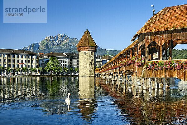 Kapellbrücke mit Pilatus  Luzern  Schweiz  Europa