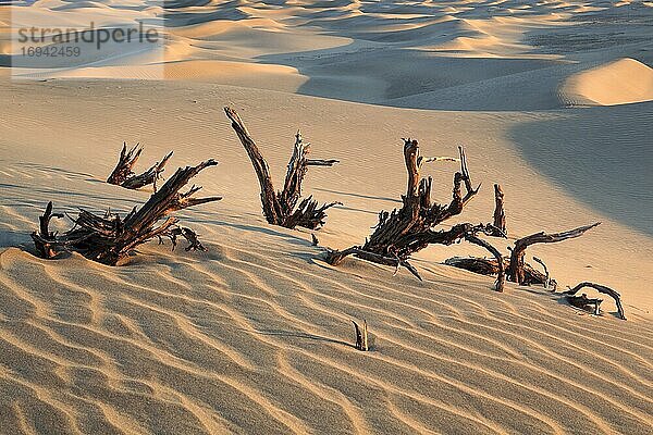 Mesquite Flats Sand Dunes  Sanddünen  Death Valley National Park  Kalifornien  USA  Nordamerika