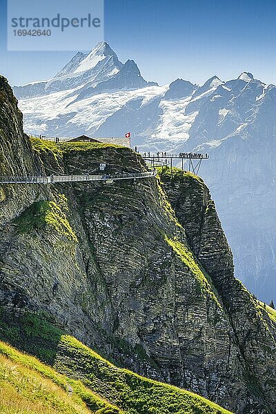 Schreckhorn  4078 m  First Cliff Walk  Schweiz  Europa