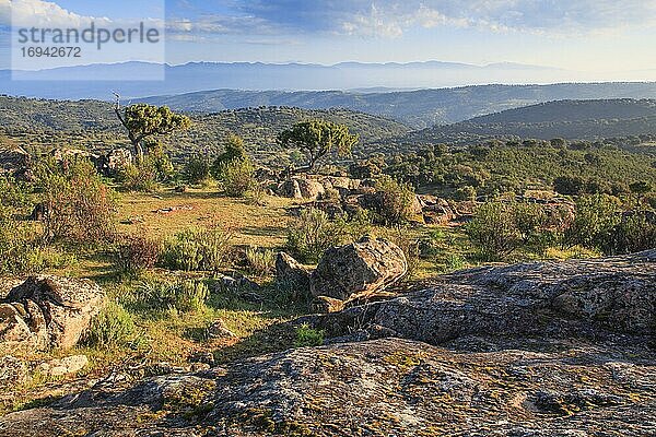 Typische Landschaft im Nationalpark Sierra de Andújar  Andalusien  Spanien  Europa