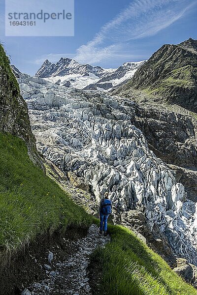 Wanderin auf dem Wanderweg zur Schreckhornhütte  Berggipfel Agassizhorn und Finsteraarhorn  Hochalpine Berglandschaft  Unteres Eismeer  Gletscherzunge  Berner Oberland  Schweiz  Europa