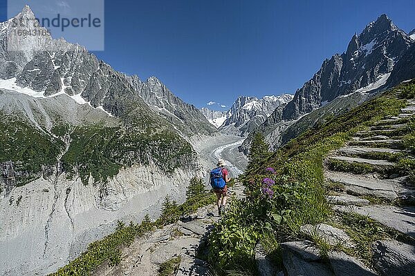 Bergsteigerin auf Wanderweg  Grand Balcon Nord  Gletscherzunge Mer de Glace  hinten Grandes Jorasses  Mont-Blanc-Massiv  Chamonix  Frankreich  Europa