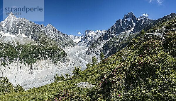 Gletscherzunge Mer de Glace  hinten Grandes Jorasses  Mont-Blanc-Massiv  Chamonix  Frankreich  Europa