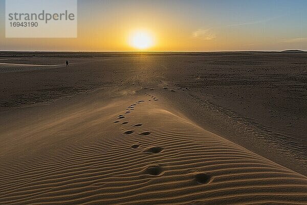 Fußspuren in Sanddüne  Sonnenuntergang  Wüste Sahara  Norden des Tschad