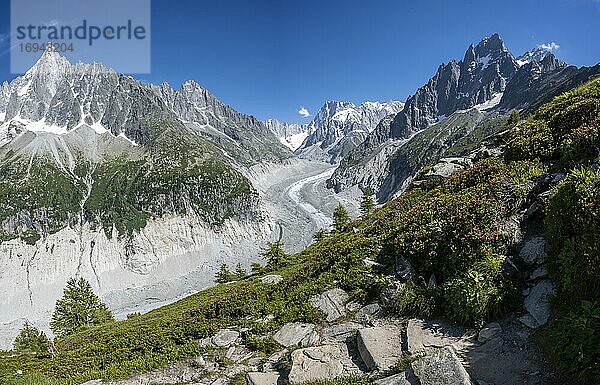 Gletscherzunge Mer de Glace  hinten Grandes Jorasses  Mont-Blanc-Massiv  Chamonix  Frankreich  Europa