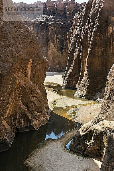 Felsschlucht  Wasserloch Guelta d'Archei  Ennedi-Plateau  Tschad  Afrika