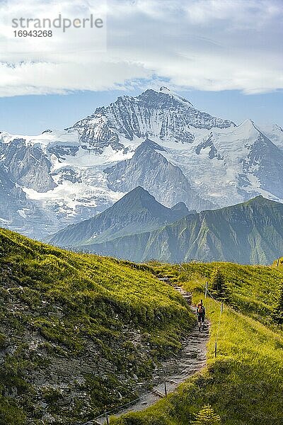 Wanderer auf Wanderweg  schneebedckten Berggipfel  Jungfraujoch und Jungfrau  Gletscher Jungfraufirn  Jungfrauregion  Grindelwald  Bern  Schweiz  Europa