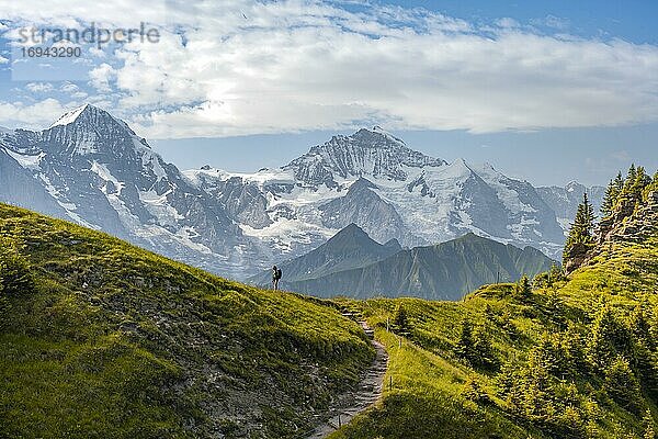 Wanderer auf Wanderweg  schneebedckten Berggipfel  Mönch  Jungfraujoch und Jungfrau  Gletscher Jungfraufirn  Jungfrauregion  Grindelwald  Bern  Schweiz  Europa