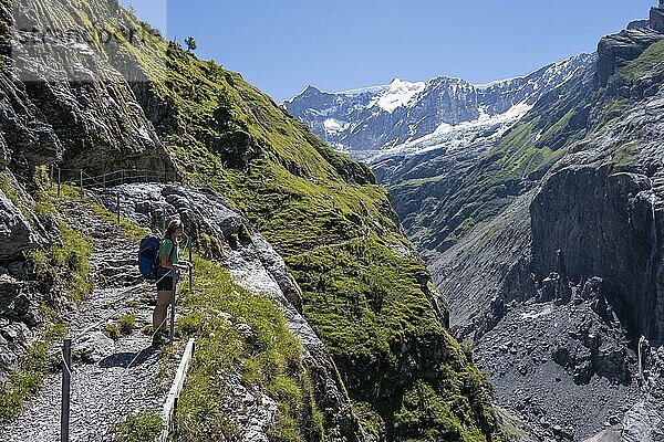 Junge Frau auf Wanderweg von Grindelwald zur Schreckhornhütte  Gletscher Grindelwald-Fieschergletscher und Gipfel des Walcherhorn  Berner Oberland  Schweiz  Europa