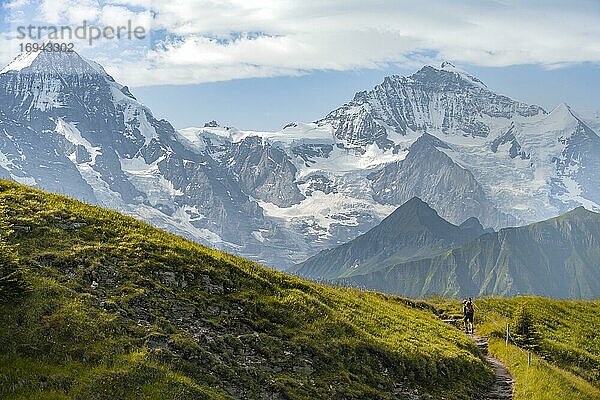Wanderer auf Wanderweg  schneebedckten Berggipfel  Mönch  Jungfraujoch und Jungfrau  Gletscher Jungfraufirn  Jungfrauregion  Grindelwald  Bern  Schweiz  Europa