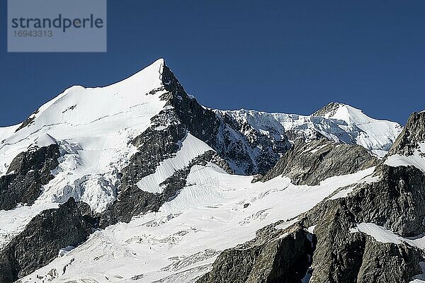 Großes Fiescherhorn  vergletschert  Berner Oberland  Schweiz  Europa