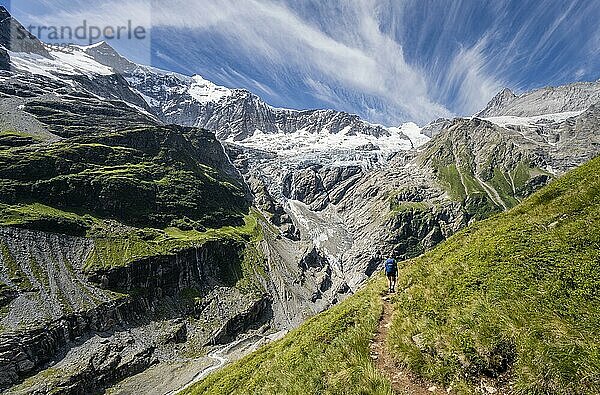 Wanderin in den Bergen auf Wanderweg nach Grindelwald  Gletscher Grindelwald-Fieschergletscher und Gipfel des Walcherhorn  Berner Oberland  Schweiz  Europa