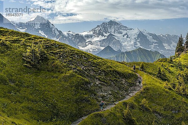 Wanderer auf Wanderweg  schneebedckten Berggipfel  Eiger  Mönch  Jungfraujoch und Jungfrau  Gletscher Jungfraufirn  Jungfrauregion  Grindelwald  Bern  Schweiz  Europa