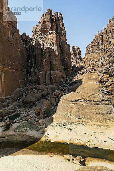 Wasserstelle Guelta d'Archei  Ennedi-Plateau  Tschad  Afrika
