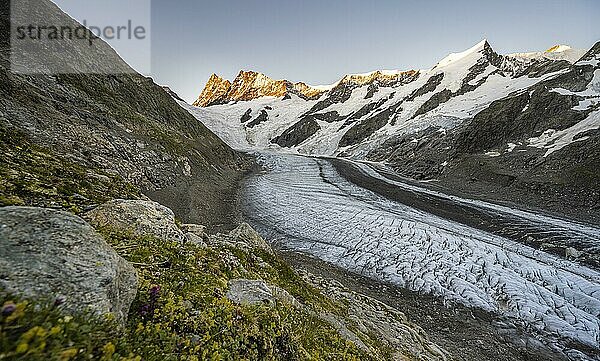 Bergpanorama  Hochalpine Landschaft  Sonnenaufgang  Gletscherzunge  Gletscher Unteres Eismeer  Finsteraarhorn  Agasszishorn  Großes Fiescherhorn  Berner Oberland  Schweiz  Europa