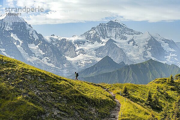 Wanderer auf Wanderweg  schneebedckten Berggipfel  Mönch  Jungfraujoch und Jungfrau  Gletscher Jungfraufirn  Jungfrauregion  Grindelwald  Bern  Schweiz  Europa