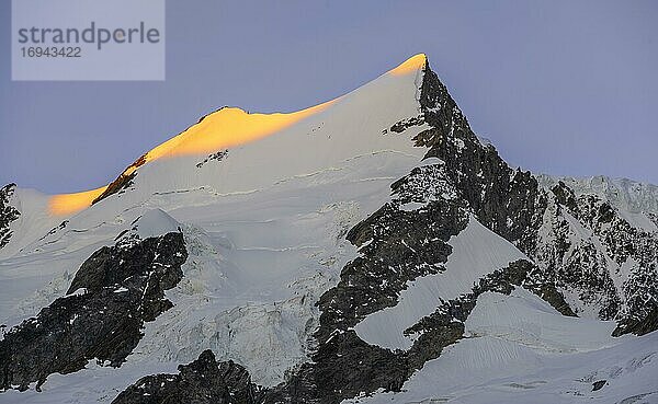 Alpenglühen  erstes Sonnenlicht  Gipfel des Großen Fiescherhorn  Berner Oberland  Schweiz  Europa