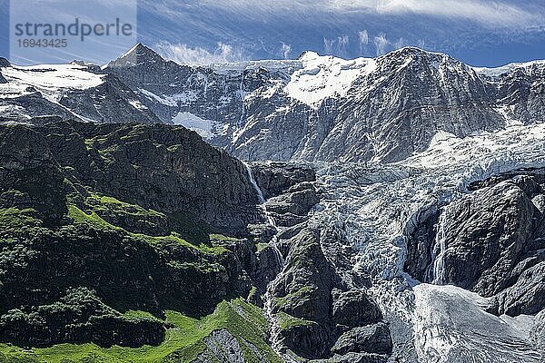 Gletscher Grindelwald-Fieschergletscher und Gipfel des Walcherhorn  Berner Oberland  Schweiz  Europa