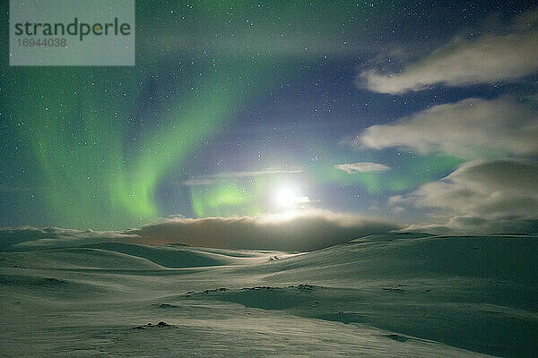 Schneelandschaft beleuchtet vom Mond im Sternenhimmel während des Nordlichts (Aurora Borealis)  Skarsvag  Nordkapp  Troms og Finnmark  Norwegen  Skandinavien  Europa