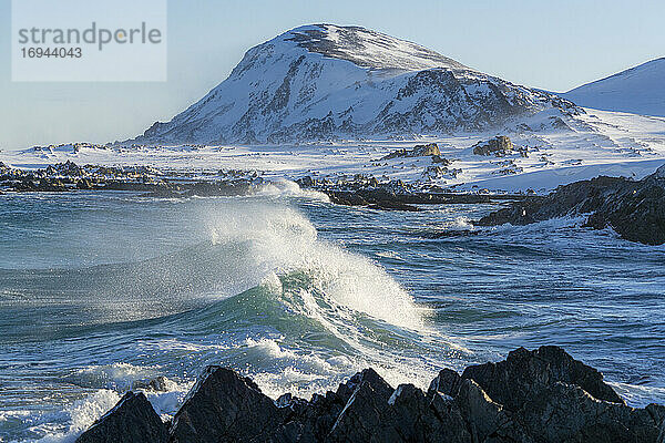 Wellen der kalten Barentssee steigen auf  bevor sie sich an Felsen brechen  Sandfjorden  Arktischer Ozean  Varanger-Halbinsel  Finnmark  Norwegen  Skandinavien  Europa