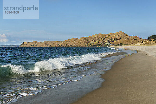 Otama Beach  nahe Whitianga Village  Coromandel Peninsula  Waikato  Nordinsel  Neuseeland  Pazifik