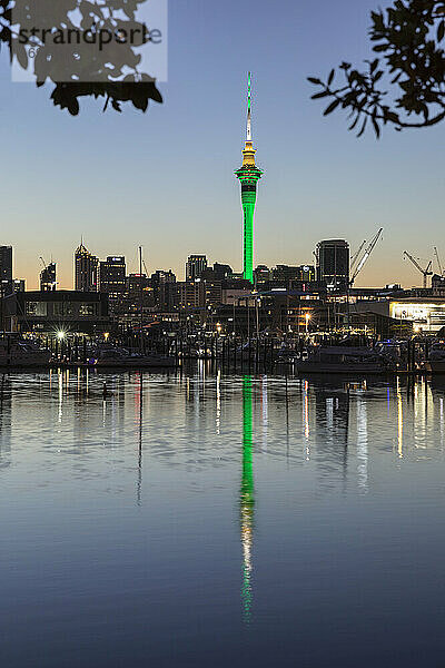 Sky Tower und Skyline am Westhaven Marina  Auckland  Nordinsel  Neuseeland  Pazifik